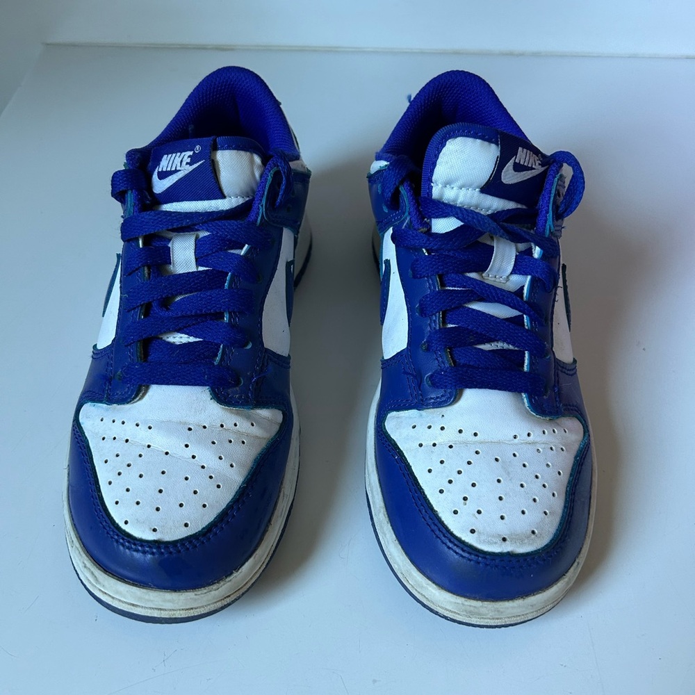 Nike Dunks Low